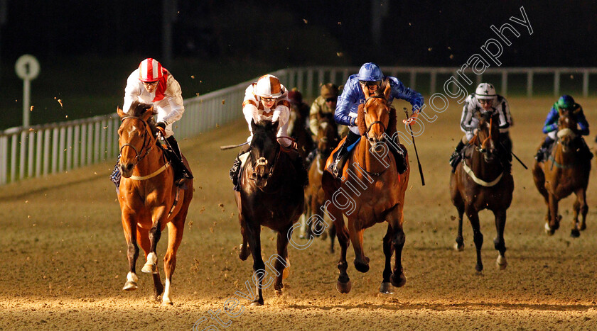 Media-Storm-0003 
 MEDIA STORM (left, Ben Curtis) beats DARK SCIMITAR (centre) and DISCOVERY ISLAND (right) in The Betway Novice Stakes
Wolverhampton 21 Feb 2020 - Pic Steven Cargill / Racingfotos.com