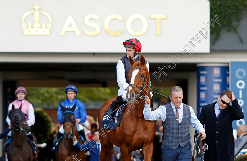 Kyprios-0011 
 KYPRIOS (Ryan Moore) before winning The Qipco British Champions Long Distance Cup
Ascot 19 Oct 2024 - Pic Steven Cargill / Racingfotos.com