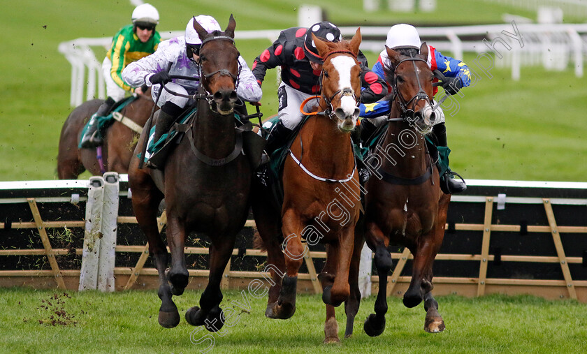 Ace-Of-Spades-0004 
 ACE OF SPADES (right, Harry Skelton) beats WHIMSY (centre) and COUNTRY PARK (left) in The Sue Ryder Leckhampton Court Hospice Maiden Hurdle
Cheltenham 17 Nov 2024 - Pic Steven Cargill