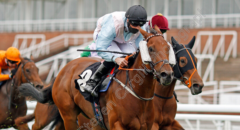 The-Lamplighter-0006 
 THE LAMPLIGHTER (Jack Mitchell) wins The tote.co.uk Home Of The Placepot Handicap
Goodwood 23 Sep 2020 - Pic Steven Cargill / Racingfotos.com