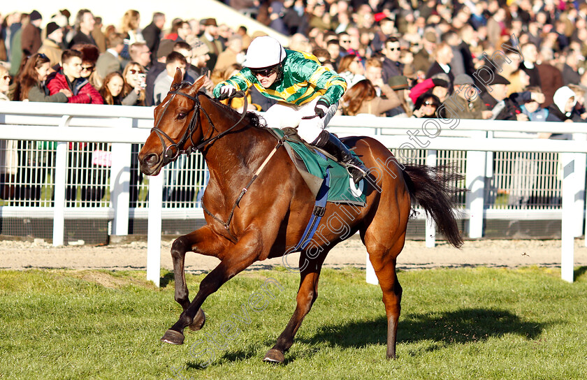 Palmers-Hill-0001 
 PALMERS HILL (Jonjo O'Neill Jr) wins The Steve And Sue Ibberson Happy Retirement Conditional Jockeys Handicap Hurdle
Cheltenham 18 Nov 2018 - Pic Steven Cargill / Racingfotos.com