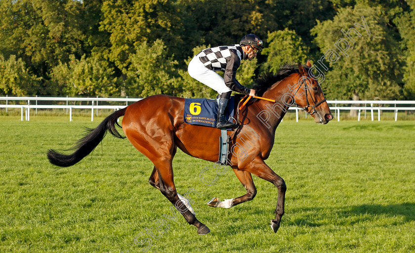 Ayani-0003 
 AYANI (Oliver Wilson)
Bro Park 17 Sep 2023 - Pic Steven Cargill / Racingfotos.com