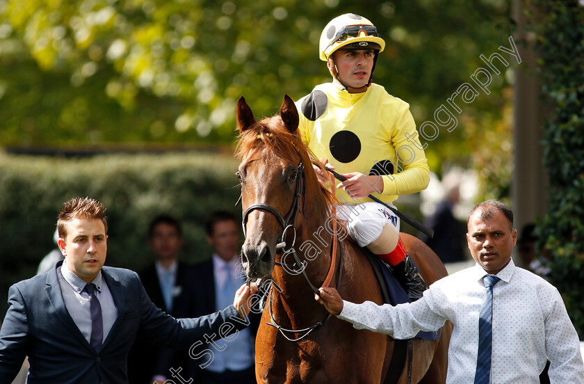 Prince-Eiji-0010 
 PRINCE EIJI (Andrea Atzeni) after The Charbonnel Et Walker British EBF Maiden Stakes
Ascot 7 Sep 2018 - Pic Steven Cargill / Racingfotos.com