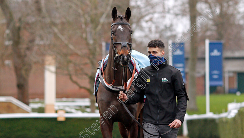 Shishkin-0005 
 SHISHKIN before The SBK Clarence House Chase
Ascot 22 Jan 2022 - Pic Steven Cargill / Racingfotos.com