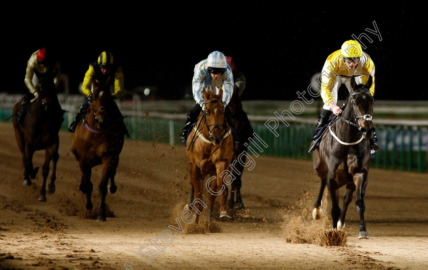 Ladyleys-Beluga-0003 
 LADYLEYS BELUGA (Clifford Lee) wins The Betway Maiden Stakes
Southwell 15 Jan 2020 - Pic Steven Cargill / Racingfotos.com