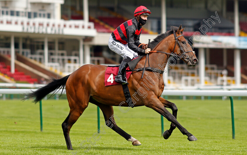 Desert-Quest-0001 
 DESERT QUEST (Jamie Gormley)
Haydock 3 Sep 2020 - Pic Steven Cargill / Racingfotos.com