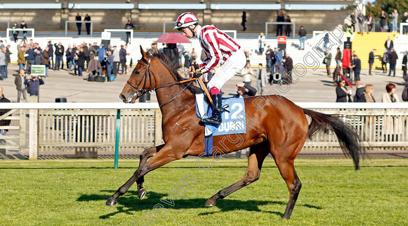 Rockin -The-Boat-0001 
 ROCKIN' THE BOAT (Oisin Murphy)
Newmarket 11 Oct 2024 - Pic Steven Cargill / Racingfotos.com