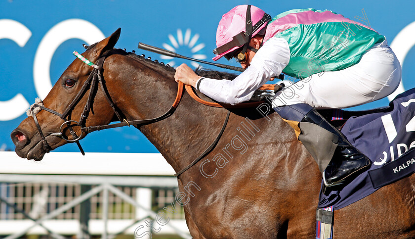 Kalpana-0004 
 KALPANA (William Buick) wins The Qipco British Champions Fillies & Mares Stakes
Ascot 19 Oct 2024 - Pic Steven Cargill / Racingfotos.com