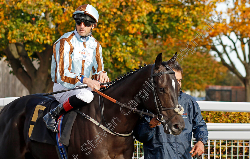 Kitaro-Kich-0001 
 KITARO KICH (Martin Harley)
Newmarket 19 Oct 2022 - Pic Steven Cargill / Racingfotos.com