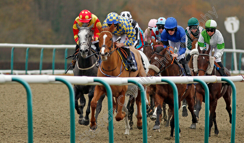 Chestnut-Storm-0002 
 CHESTNUT STORM (Luke Morris) leads the field at Lingfield 21 Nov 2017 - Pic Steven Cargill / Racingfotos.com