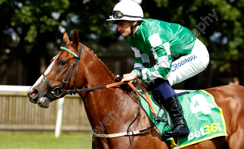 Line-Of-Force-0001 
 LINE OF FORCE (Callum Rodriguez)
Newmarket 13 Jul 2024 - Pic Steven Cargill / Racingfotos.com