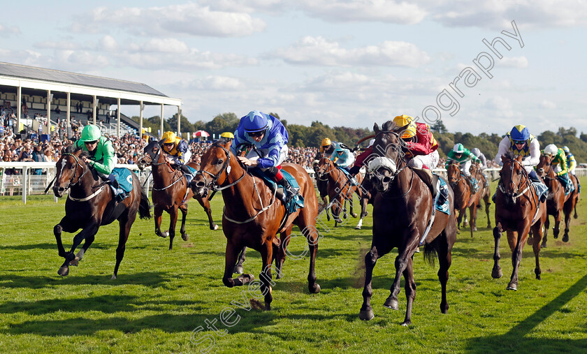 Tropical-Storm-0003 
 TROPICAL STORM (right, Oisin Murphy) beats MAGNUM FORCE (centre) in The Julia Graves Roses Stakes
York 24 Aug 2024 - Pic Steven Cargill / Racingfotos.com