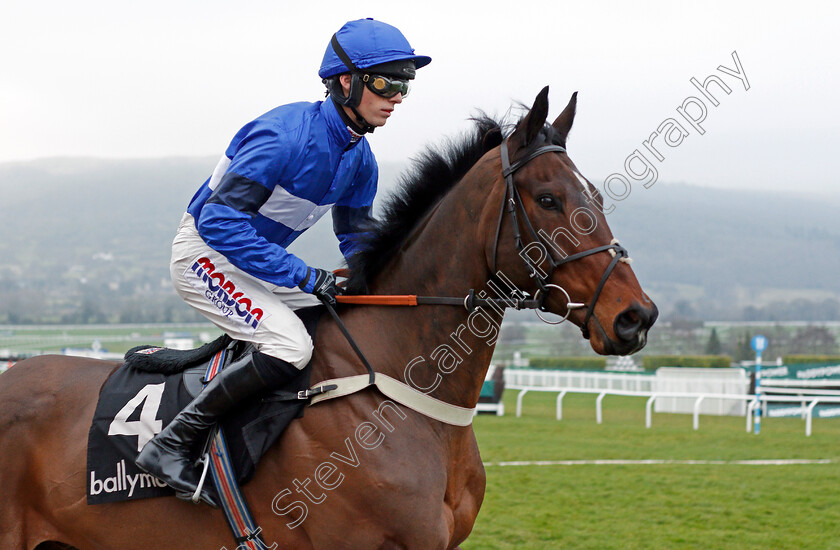 Ofalltheginjoints-0001 
 OFALLTHEGINJOINTS (Harry Cobden)
Cheltenham 1 Jan 2020 - Pic Steven Cargill / Racingfotos.com