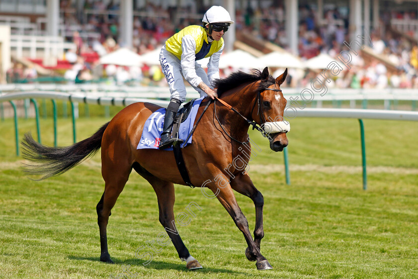 Forza-Orta-0002 
 FORZA ORTA (Cam Hardie)
Haydock 10 Jun 2023 - Pic Steven Cargill / Racingfotos.com