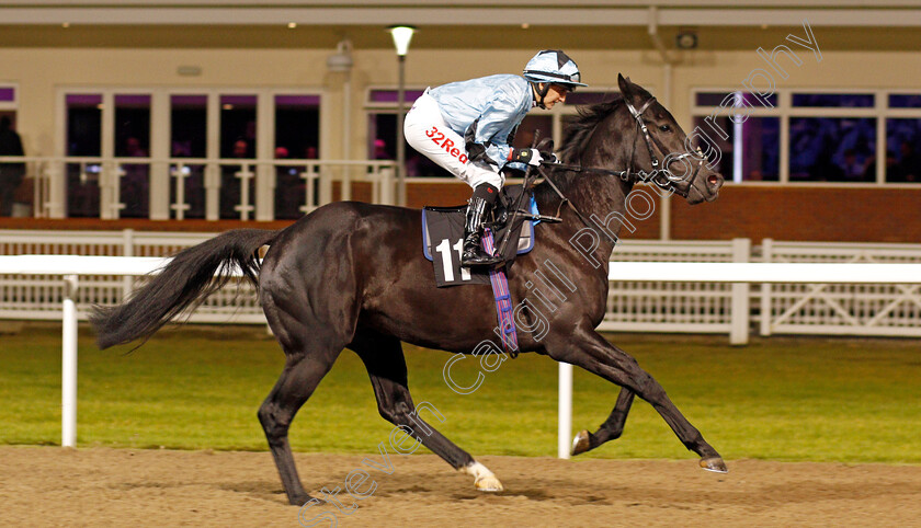 Strange-Society-0001 
 STRANGE SOCIETY (Josephine Gordon) Chelmsford 16 Nov 2017 - Pic Steven Cargill / Racingfotos.com