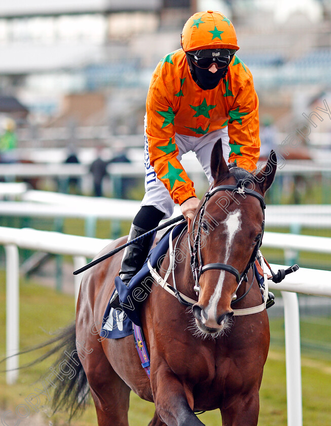 Love-Destiny-0001 
 LOVE DESTINY (Ben Curtis)
Doncaster 28 Mar 2021 - Pic Steven Cargill / Racingfotos.com