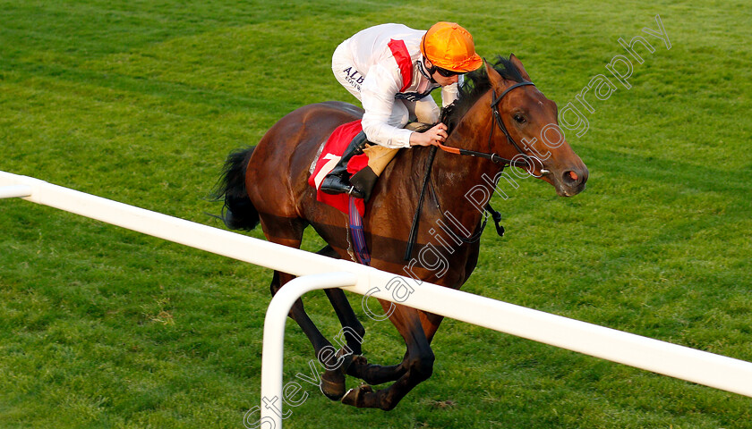 Pondus-0003 
 PONDUS (Oisin Murphy) wins The Watch The #Bettingpeople Videos starsportsbet.co.uk EBF NOvice Stakes
Sandown 30 May 2019 - Pic Steven Cargill / Racingfotos.com