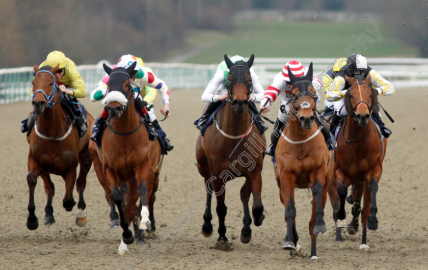 Highland-Acclaim-0002 
 HIGHLAND ACCLAIM (2nd right, David Probert) beats LITTLE PALAVER (right) THE ESTABLISHMENT (centre) and INAAM (2nd left) in The Betway Handicap
Lingfield 2 Feb 2019 - Pic Steven Cargill / Racingfotos.com