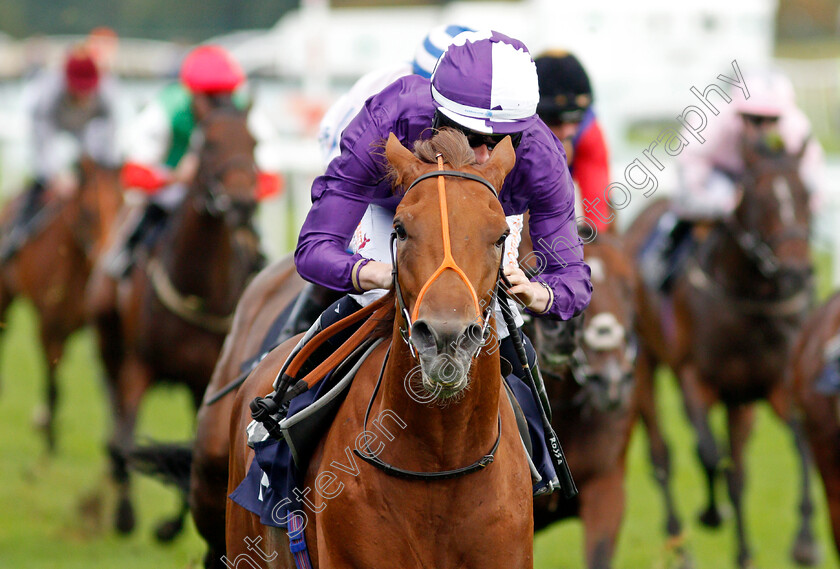 Thunder-Max-0009 
 THUNDER MAX (Rossa Ryan) wins The Coopers Marquees Maiden Stakes
Doncaster 10 Sep 2021 - Pic Steven Cargill / Racingfotos.com