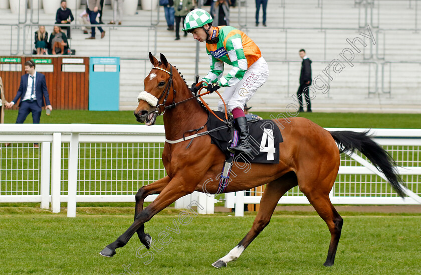 Madame-De-Sevigne-0001 
 MADAME DE SEVIGNE (Oisin Murphy)
Ascot 1 May 2024 - Pic Steven Cargill / Racingfotos.com