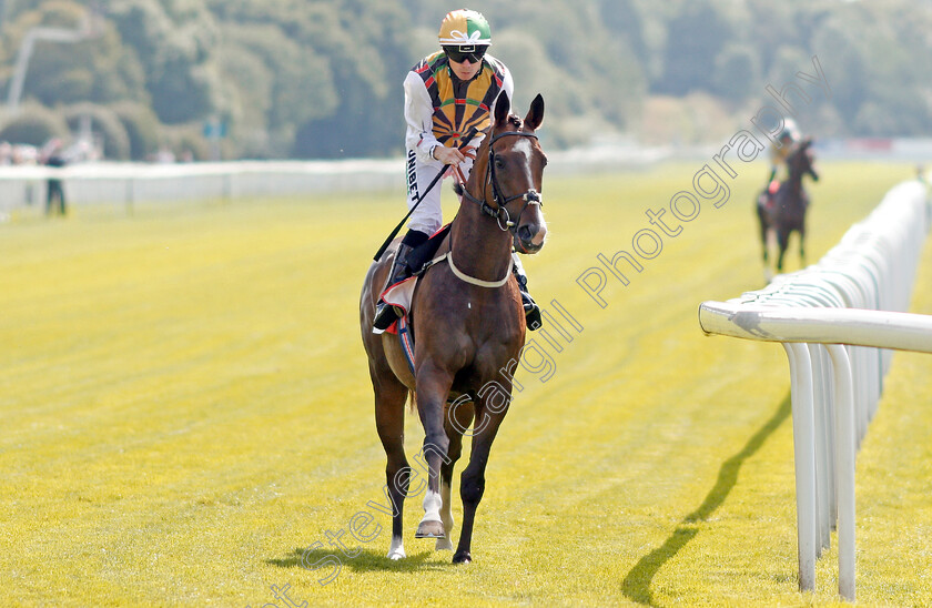 Escobar-0002 
 ESCOBAR (Jamie Spencer)
York 24 Aug 2019 - Pic Steven Cargill / Racingfotos.com