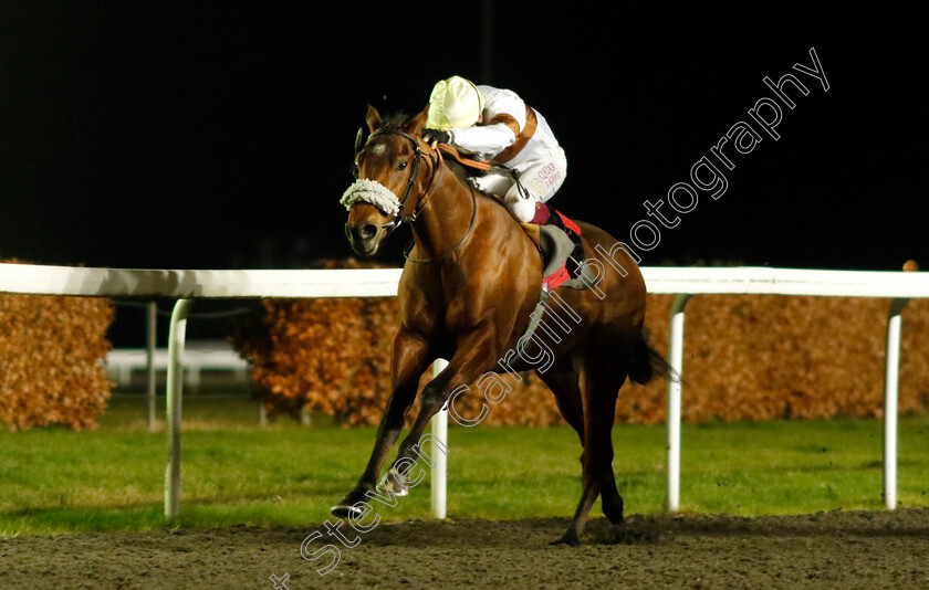 Lessay-0005 
 LESSAY (Oisin Murphy) wins The Unibet / British Stallion Studs EBF Novice Stakes
Kempton 13 Dec 2023 - Pic Steven Cargill / Racingfotos.com