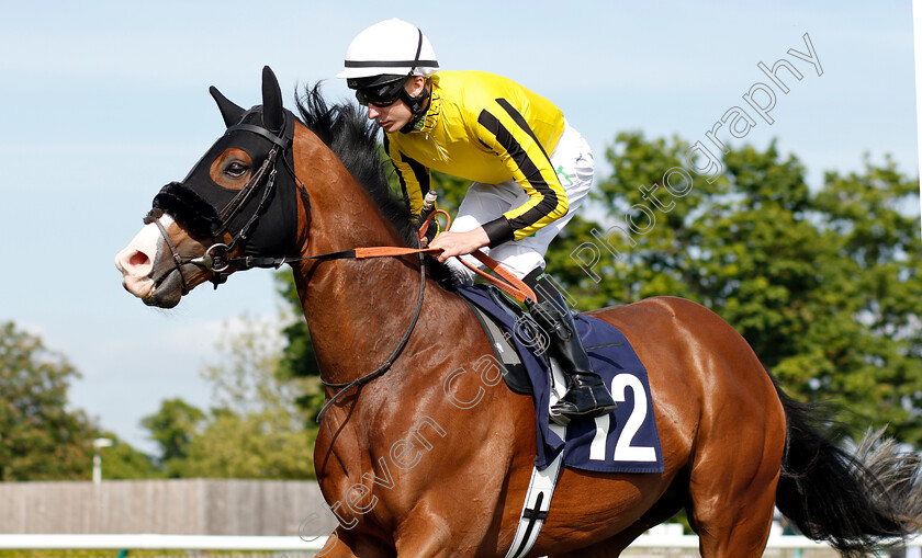 Olympic-Odyssey-0001 
 OLYMPIC ODYSSEY (Luke Morris)
Newmarket 18 May 2018 - Pic Steven Cargill / Racingfotos.com