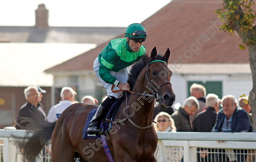 Balticum-0002 
 BALTICUM (Kieran Shoemark)
Yarmouth 18 Sep 2024 - Pic Steven Cargill / Racingfotos.com