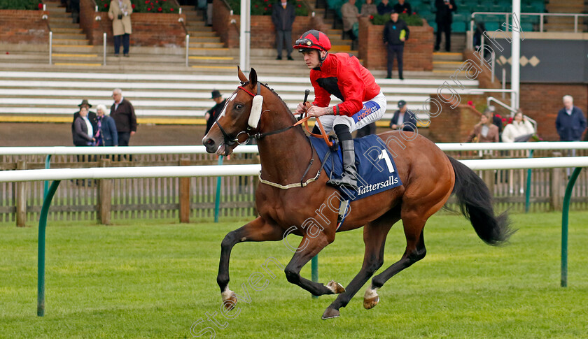 Assertively-0001 
 ASSERTIVELY (Clifford Lee)
Newmarket 26 Sep 2024 - pic Steven Cargill / Racingfotos.com