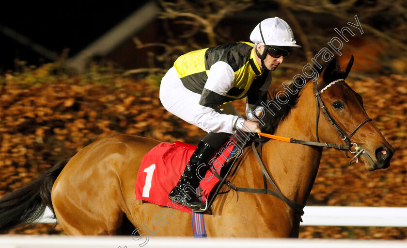 Afterthought-0001 
 AFTERTHOUGHT (Jack Mitchell)
Kempton 13 Dec 2023 - Pic Steven Cargill / Racingfotos.com