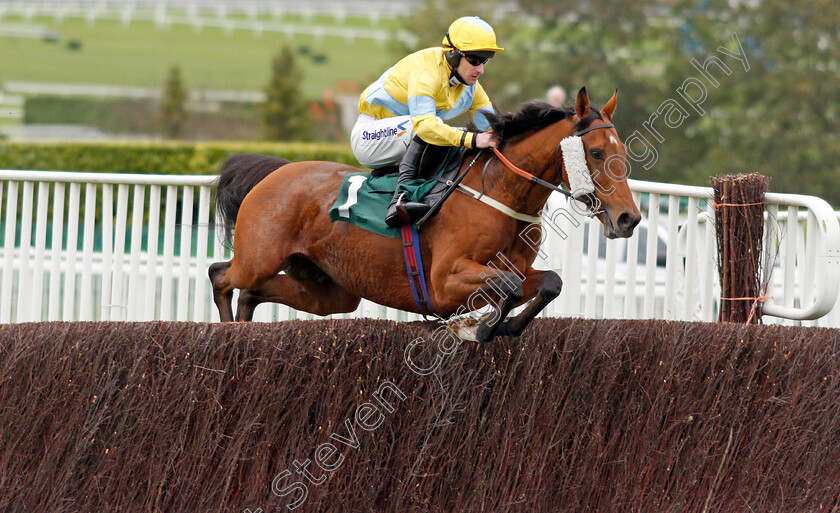 Caius-Marcius-0001 
 CAIUS MARCIUS (Brian Hughes)
Cheltenham 25 Oct 2019 - Pic Steven Cargill / Racingfotos.com