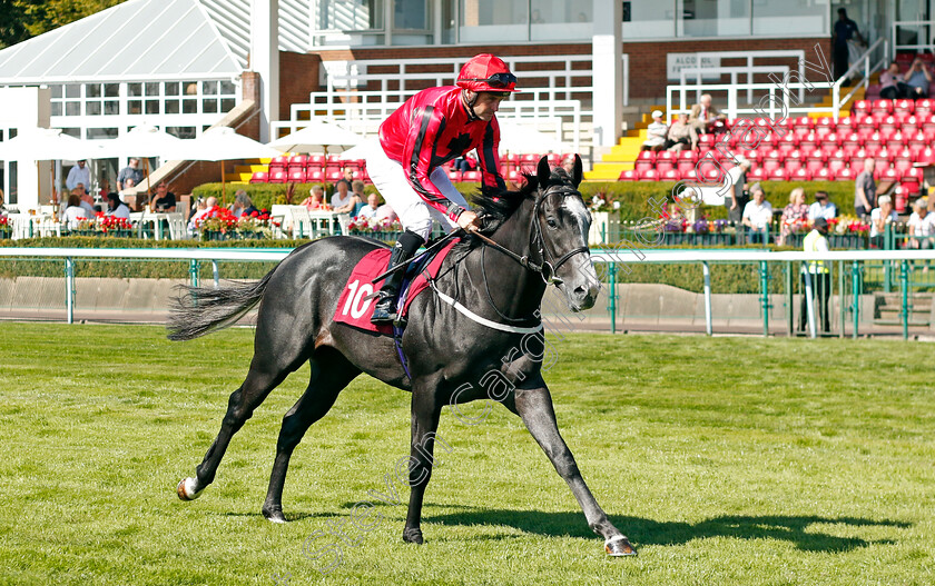 Royal-Cay-0001 
 ROYAL CAY (Tony Hamilton)
Haydock 1 Sep 2022 - Pic Steven Cargill / Racingfotos.com