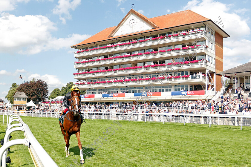 Stradivarius-0009 
 STRADIVARIUS (Frankie Dettori) after The Weatherbys Hamilton Lonsdale Cup
York 23 Aug 2019 - Pic Steven Cargill / Racingfotos.com