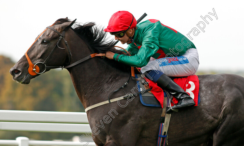 Mister-Blue-Sky-0003 
 MISTER BLUE SKY (Mitch Godwin) wins The Bishopsgate Pay Handicap Sandown 1 Sep 2017 - Pic Steven Cargill / Racingfotos.com