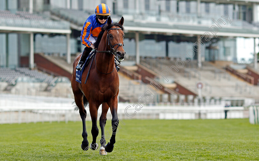 Roman-Empire-0001 
 ROMAN EMPIRE (Hollie Doyle)
York 13 May 2021 - Pic Steven Cargill / Racingfotos.com