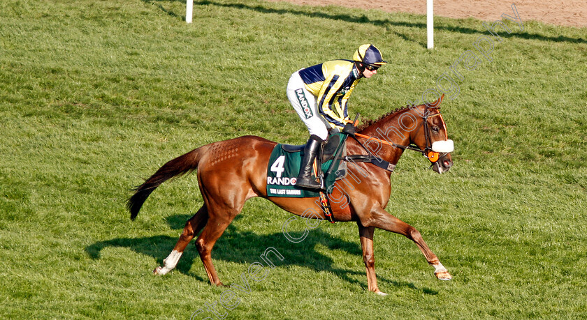 The-Last-Samuri-0001 
 THE LAST SAMURI (David Bass) Aintree 14 Apr 2018 - Pic Steven Cargill / Racingfotos.com