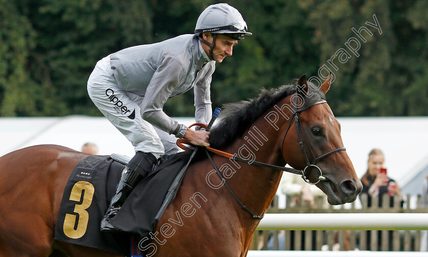 King s-Gamble-0005 
 KING'S GAMBLE (Daniel Tudhope) winner of The British Stallion Studs EBF Novice Stakes
Newmarket 4 Aug 2023 - Pic Steven Cargill / Racingfotos.com