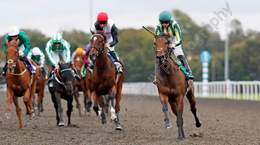 Kitty-Furnival-0002 
 KITTY FURNIVAL (Jack Mitchell) wins The Minerva Innovation Group Maiden Fillies Stakes
Kempton 2 Oct 2024 - Pic Steven Cargill / Racingfotos.com