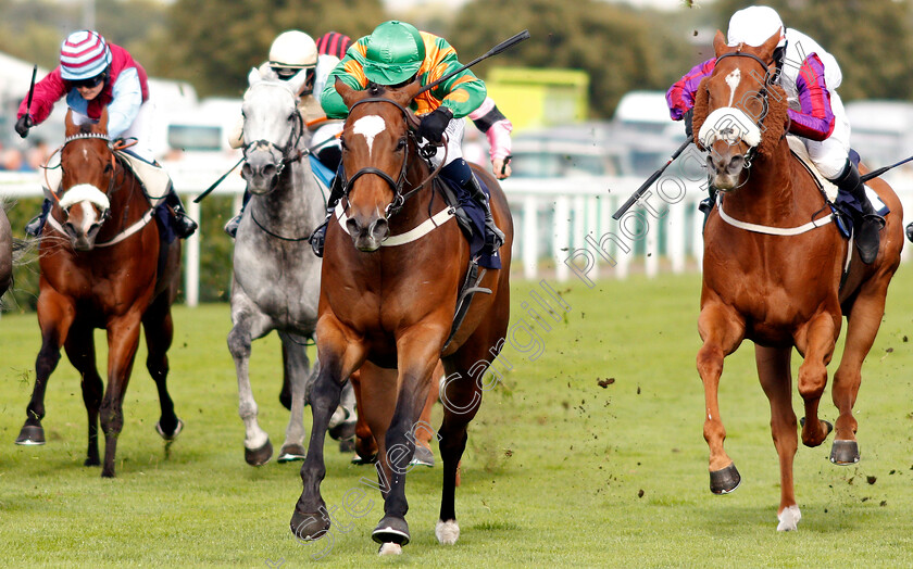 Saluti-0003 
 SALUTI (Georgia Cox) wins The Silk Series Lady Riders Handicap
Doncaster 12 Sep 2019 - Pic Steven Cargill / Racingfotos.com