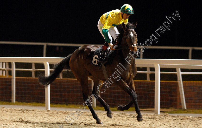 Torolight-0002 
 TOROLIGHT (Shane Kelly)
Chelmsford 21 Feb 2019 - Pic Steven Cargill / Racingfotos.com