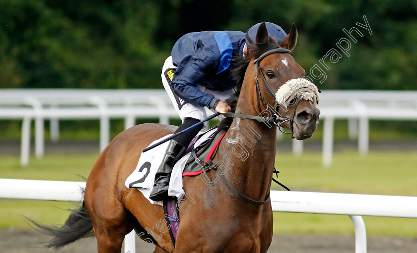 Measured-Moments-0001 
 MEASURED MOMENTS (Neil Callan)
Kempton 12 Jun 2024 - Pic Steven Cargill / Racingfotos.com