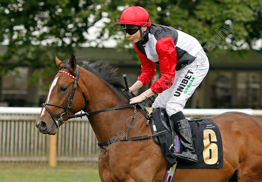 Sporting-Hero 
 SPORTING HERO (Jamie Spencer)
Newmarket 29 Jul 2022 - Pic Steven Cargill / Racingfotos.com