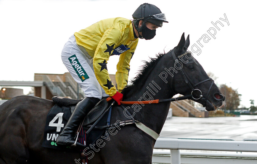 Harambe-0001 
 HARAMBE (Tom Bellamy)
Cheltenham 15 Nov 2020 - Pic Steven Cargill / Racingfotos.com