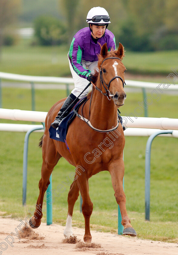 Farhhmoreexciting-0002 
 FARHHMOREEXCITING (Hayley Turner)
Southwell 29 Apr 2019 - Pic Steven Cargill / Racingfotos.com