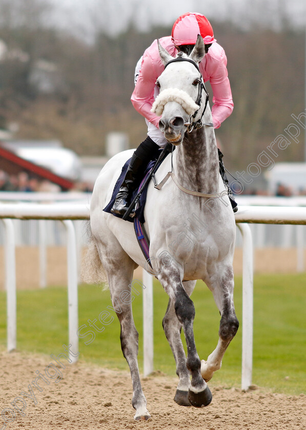 Misty-Grey-0001 
 MISTY GREY (Daniel Tudhope)
Wolverhampton 9 Mar 2024 - Pic Steven Cargill / Racingfotos.com