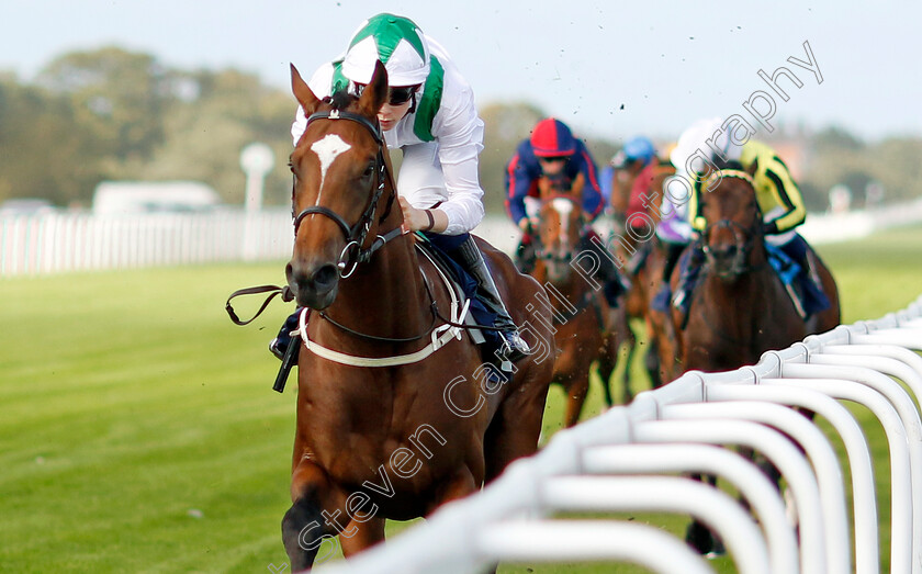 Green-Storm-0003 
 GREEN STORM (Billy Loughnane) wins The Get Raceday Ready Restricted Maiden Stakes
Yarmouth 17 Sep 2024 - Pic Steven Cargill / Racingfotos.com