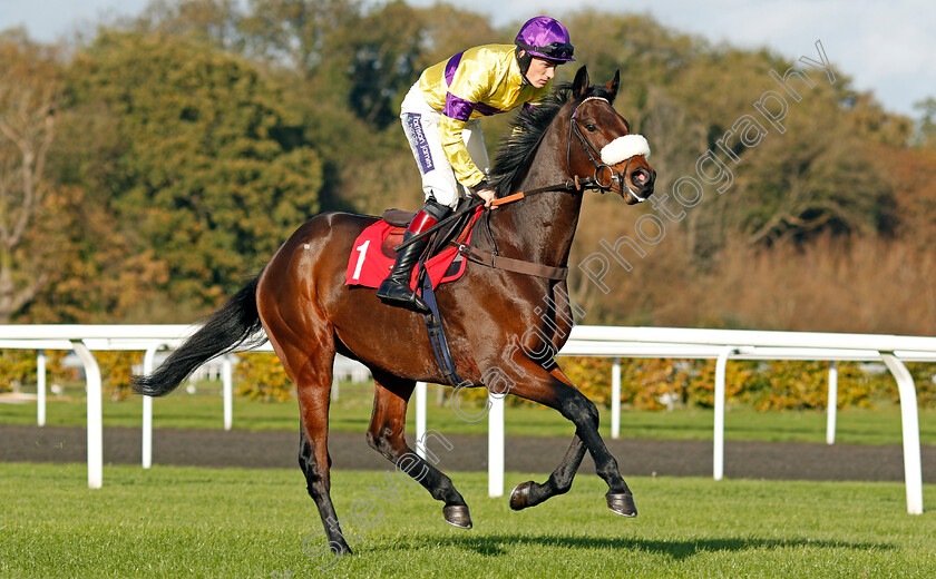 Amour-De-Nuit-0001 
 AMOUR DE NUIT (Sam Twiston-Davies) winner of The Better Odds With Matchbook Novices Hurdle Kempton 22 Oct 2017 - Pic Steven Cargill / Racingfotos.com