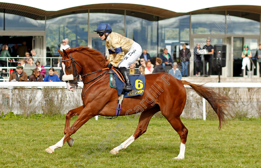 Manitou-0007 
 MANITOU (Hollie Doyle) winner of The Appel Au Maitre Svealandlopning
Bro Park, Sweden 18 Sep 2022 - Pic Steven Cargill / Racingfotos.com