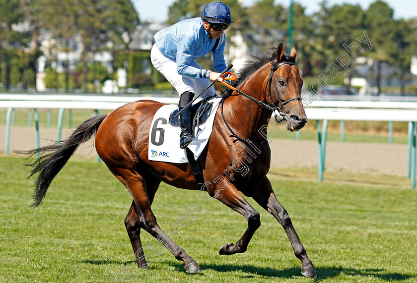 Namos-0003 
 NAMOS (W Panov)
Deauville 7 Aug 2022 - Pic Steven Cargill / Racingfotos.com