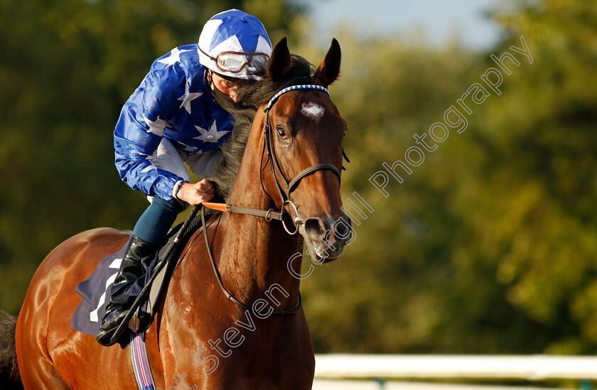 Mersin-0001 
 MERSIN (William Buick) 
Lingfield 5 Aug 2020 - Pic Steven Cargill / Racingfotos.com